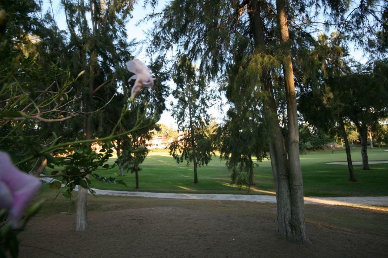 Greenlife Village Марбелья Экстерьер фото